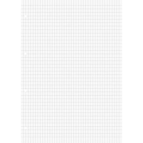 Ringbucheinlage rautiert - , a4